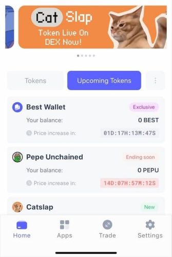 Token Launchpad และสิทธิ์เข้าถึง Presale