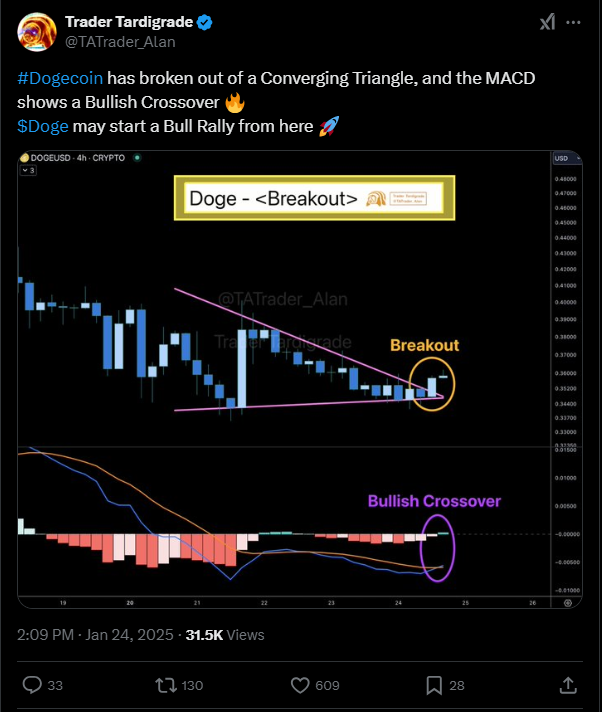 trader-tardigrade- doge 