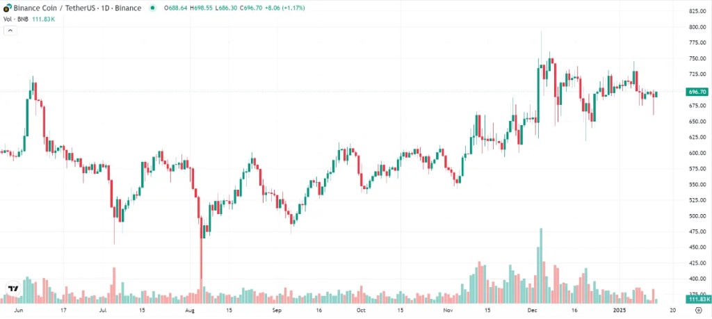 バイナンスコイン/USDT日足チャート