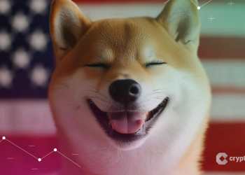 DOGE koers verliest $8 mld marketcap – welke crypto meme kopen vandaag?