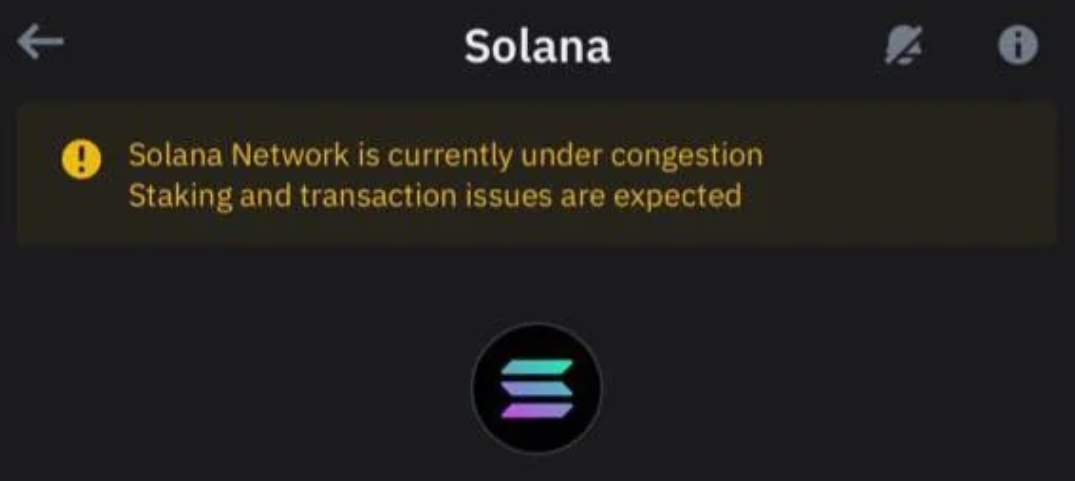 Solana Menguasai Pasar DEX Meski Alami Kemacetan: Apakah Solaxy Meme Coin Solusinya?