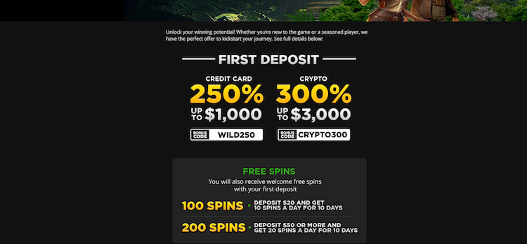 wild bonus - registration step four