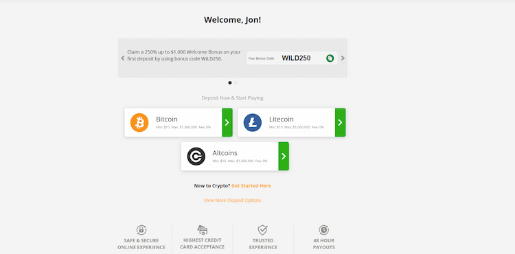 wild casino banking options - texas registration part three