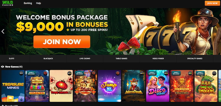 wild casino registration tx - step one