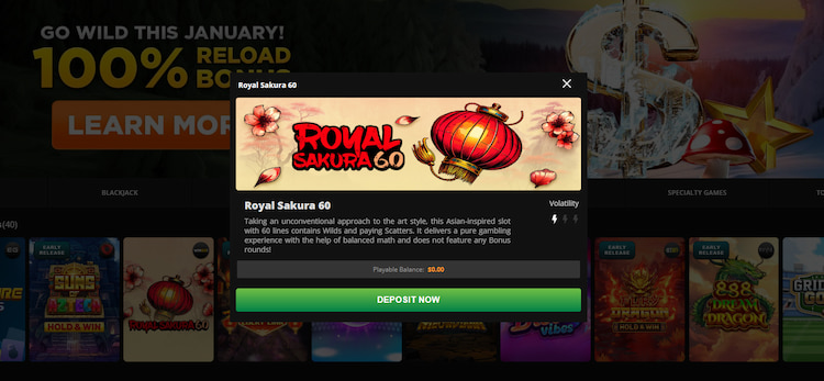 wild casino texas - registration final step