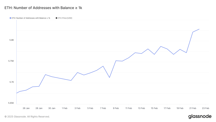 eth whales