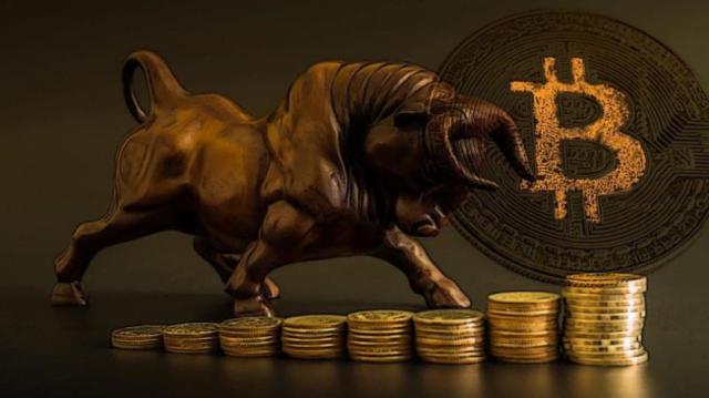 Preț criptomonede: BTC bull
