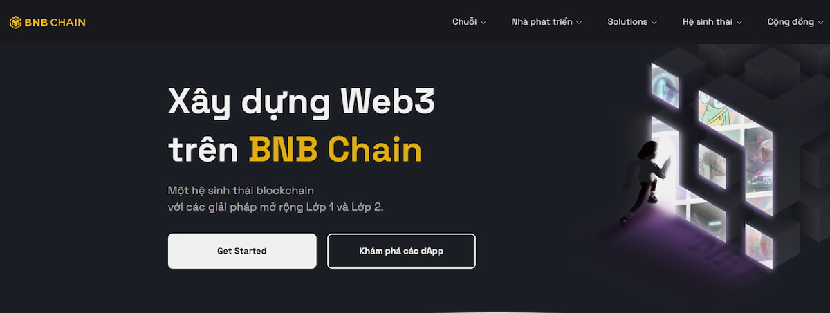 BNB Coin VN