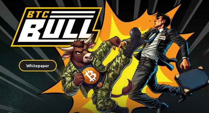 BTC Bull Token Bitcoin crypto coin
