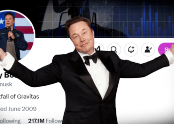 Najlepsze memecoiny są niegrzeczne: HARRYBOLZ zyskuje 50 000% w pół godziny