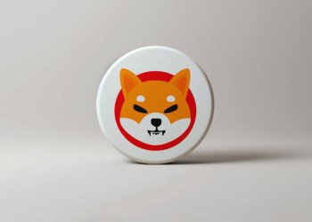 Shiba Inu