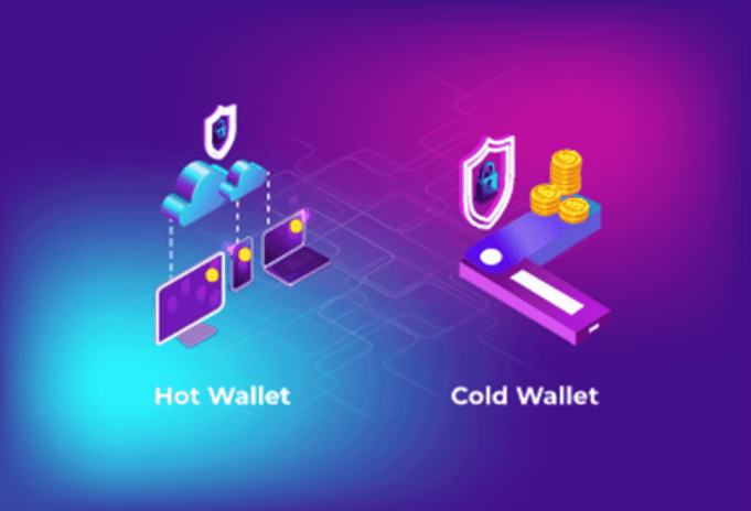 Sự khác biệt giữa Ví lạnh và Ví nóng