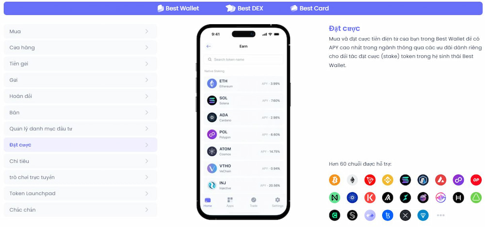 Tổng hợp Staking
