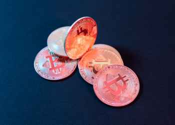 Crypto Bull Run