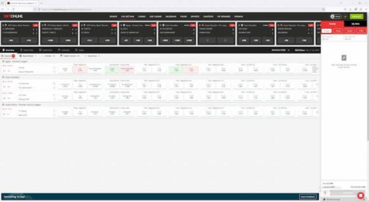 betonline registration from alaska - final step