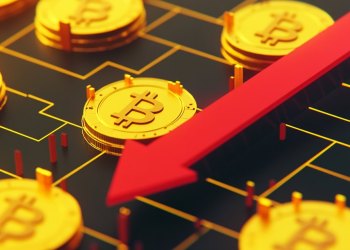 市場の下落時に購入すべき仮想通貨 おすすめ 4選