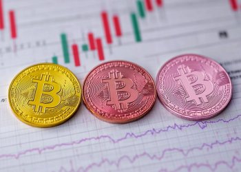 2月の注目仮想通貨 プレセール