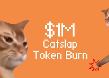 Catslap