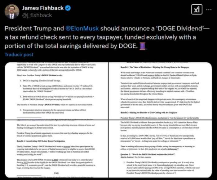 James Fishback presentó la idea del dividendo DOGE a través de X.