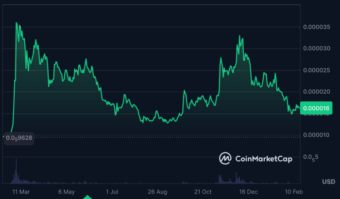 $SHIB token growth over the last year on CoinMarketCap. 