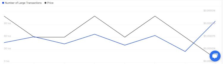 whale activiteit afgelopen dagen