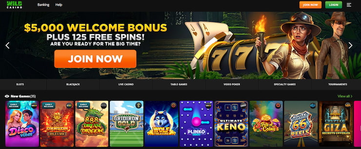 wild casino review - wa online casinos