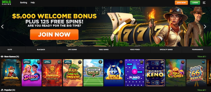 wild casino sign up - WA first step