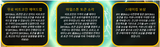 BTC 불 토큰 특징