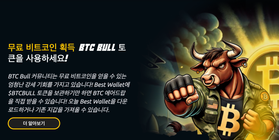 BTC 불 토큰 