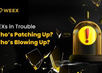 Bybit & WEEX Highlight CEX Resilience Via Effective Crisis Management