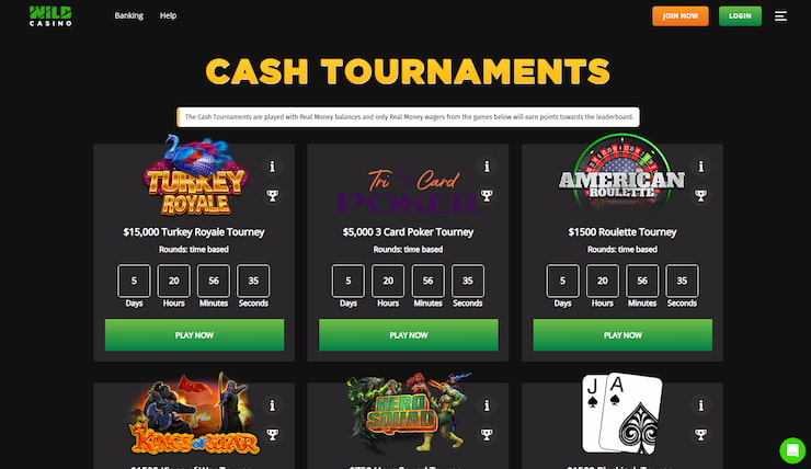 A snapshot of Wild Mobile Casino