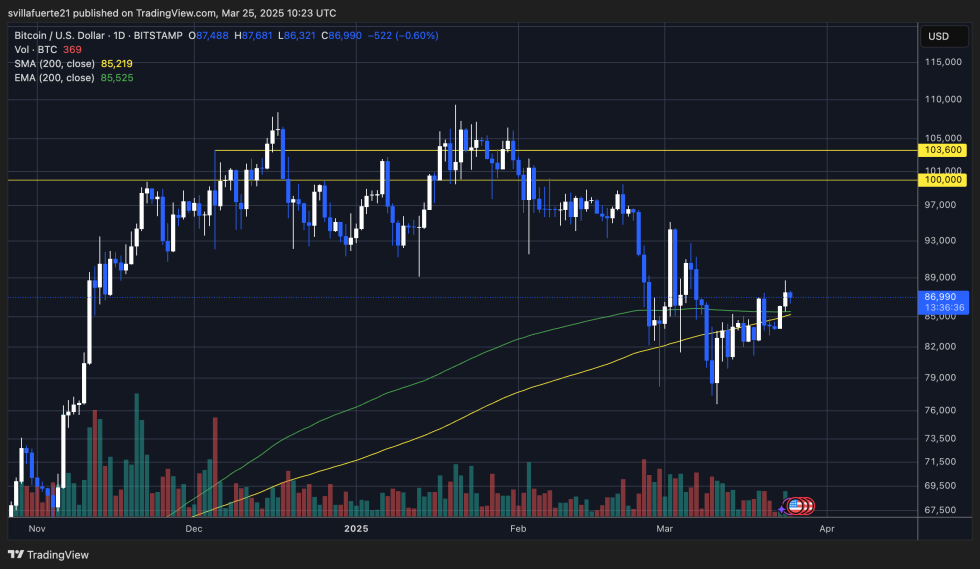 BTC holding above the 200-day MA & EMA | Source: BTCUSDT chart on TradingView