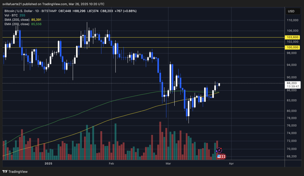 BTC testing crucial supply | Source: BTCUSDT chart on TradingView