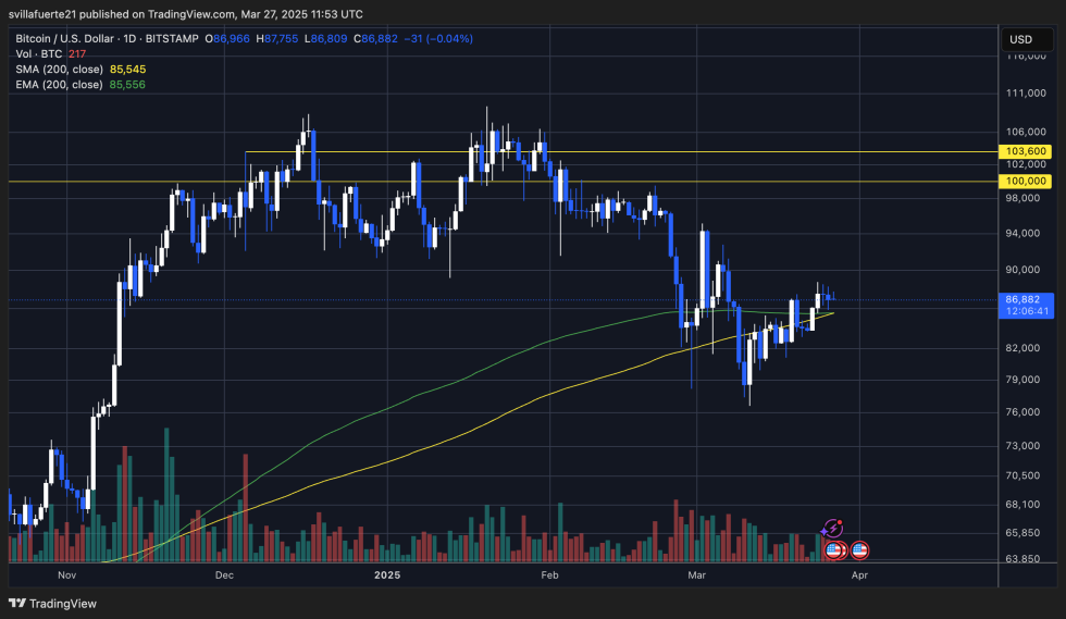 BTC holding above the 200-day MA | Source: BTCUSDT Chart on TradingView