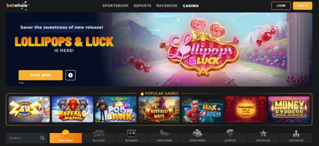 Some casino games available at BetWhale Casino