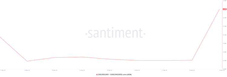 Cardano whale activiteit, Santiment