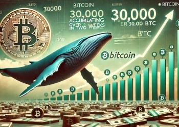 Bitcoin Whales Have Bought Over 30,000 BTC In Two Weeks – Sign Of A Coming Impulse?