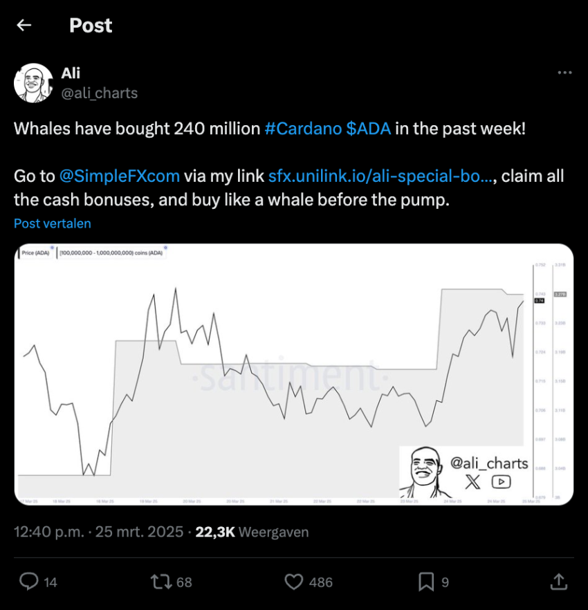 Crypto analist @ali_charts op X