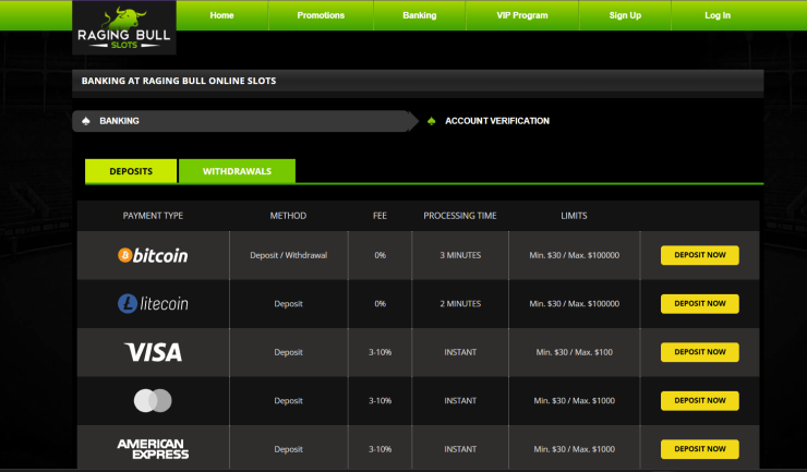 The available deposit options at Raging Bull