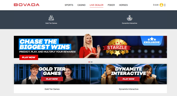 A preview of Bovada's live casino room A preview of Bovada's live casino room