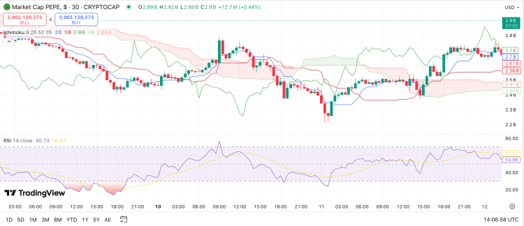 PEPE whales kopen 689 miljard tokens – is start nieuwe memecoin rally nabij?