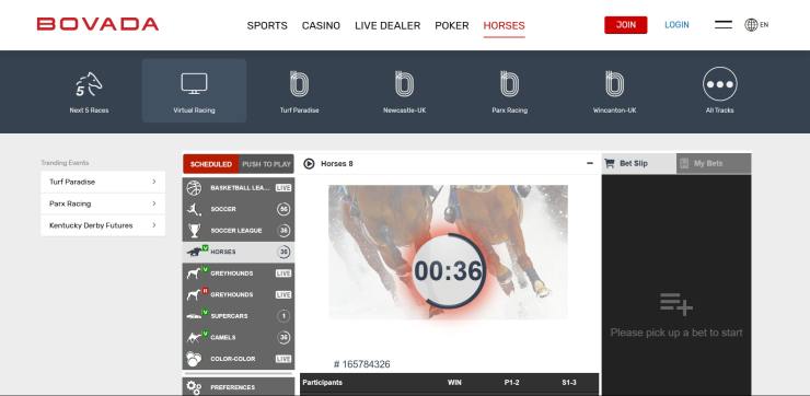 Bovada horse racing & virtual racing markets