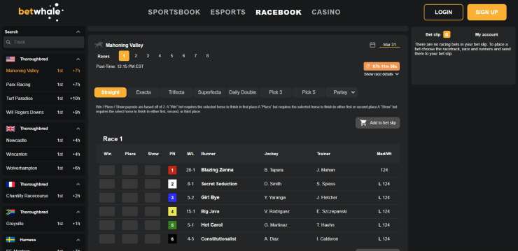 BetWhale sportsbook's racebook section