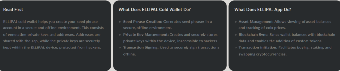 What Ellipal wallet does