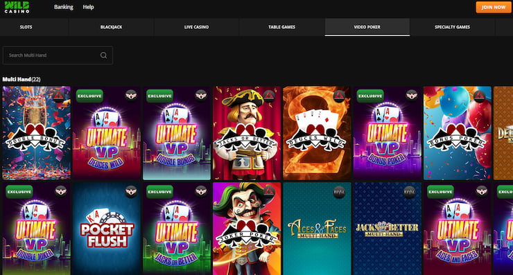 a snapshot of the homepage at wild online casino in missouri