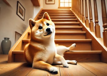 Dogecoin