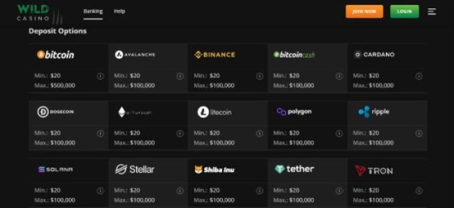 banking options at Wild online casino in Nevada