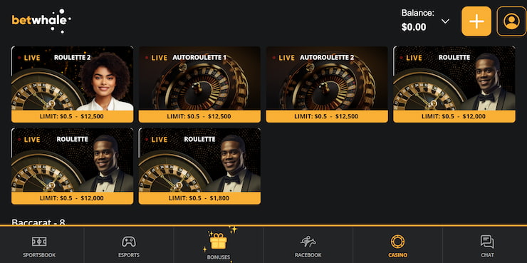 A snapshot of BetWhale Casino