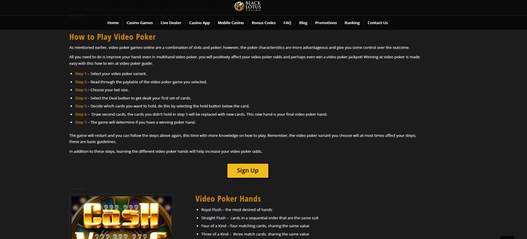 A snapshot of Black Lotus Casino's guide to poker