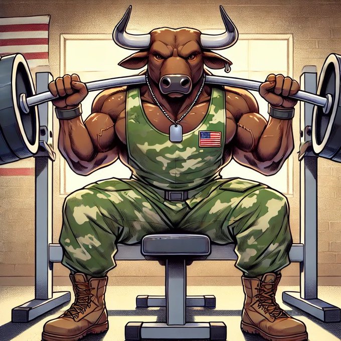 BTC Bull Token（BTCBULL）